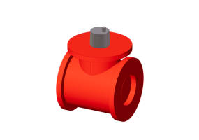 Direktmessung bei lokaler Ablesung CONTECA&reg; EASY DN 125 (5")