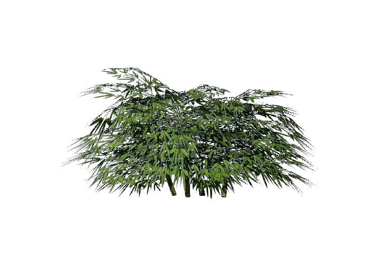 Buissons 3D - Bambou - ACCA software