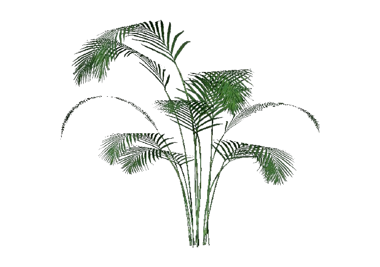 Plantas 3D - Kentia - ACCA software