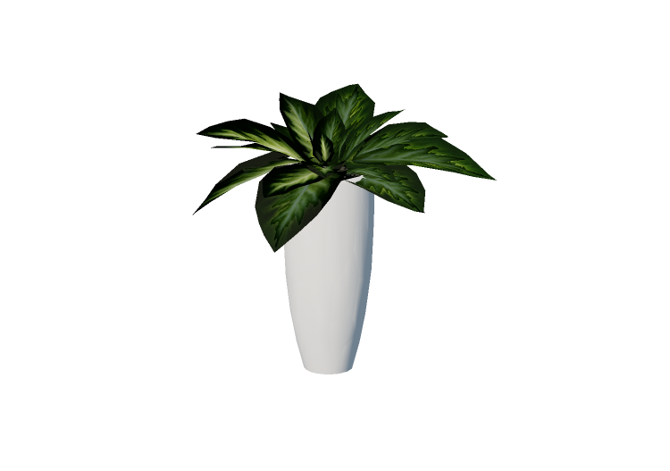 Plantas 3D - Dieffenbachia Camilla - EVERMOTION Plantas 3D - Dieffenbachia Camilla - EVERMOTION
