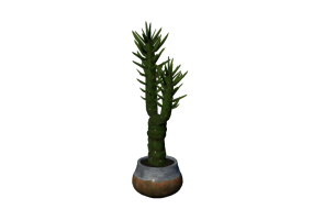 Plantas 3D - Austrocylindropuntia subulata