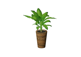 Piante 3D - Banana dwarf