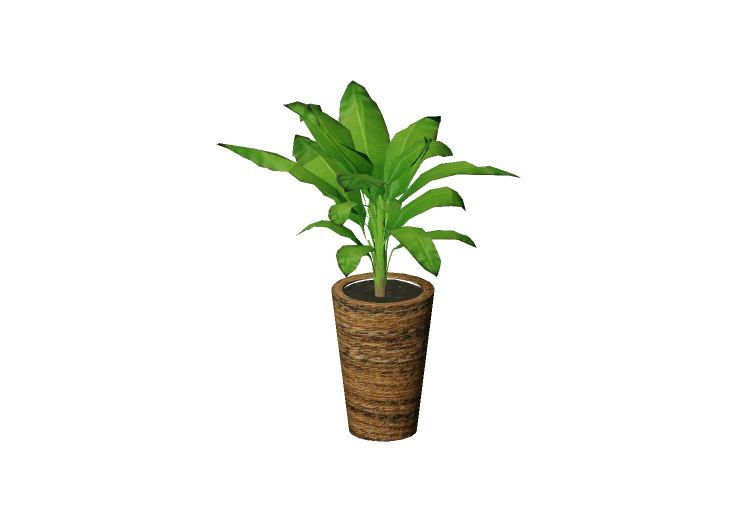 Piante 3D - Banano nano - EVERMOTION Piante 3D - Banano nano - EVERMOTION