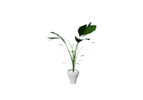 Piante 3D - Pianta in vaso per appartamento