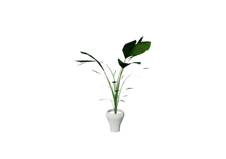 Plantas 3D - Planta em vaso para apartamento - EVERMOTION Plantas 3D - Planta em vaso para apartamento - EVERMOTION