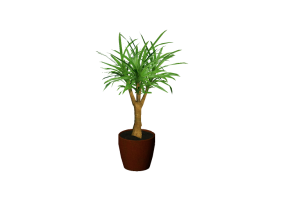 Plantas 3D - Tronco del Brasil