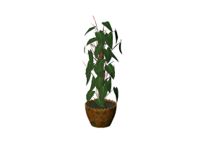Plantas 3D - Filodendro trepador