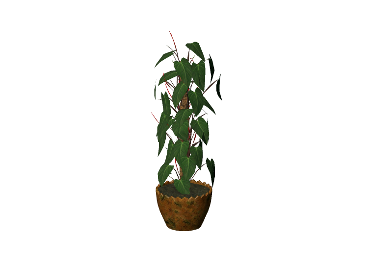Plantas 3D - Filodendro trepador - EVERMOTION Plantas 3D - Filodendro trepador - EVERMOTION