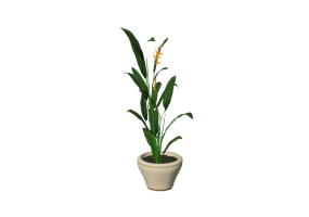 Plantas 3D - Helicônia