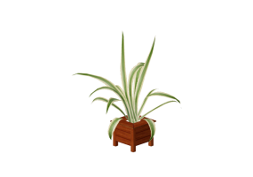 Plantas 3D - Agave americana