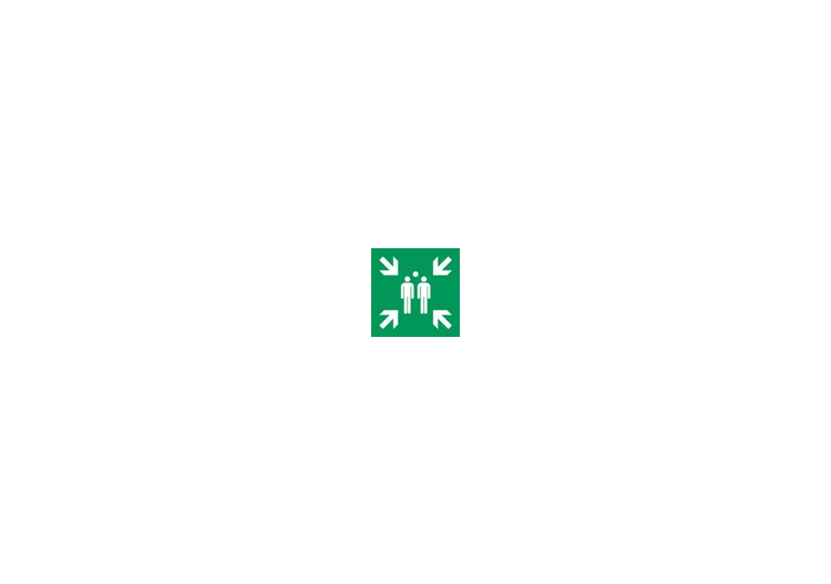 标志 - 集合点和撤离 - ACCA software