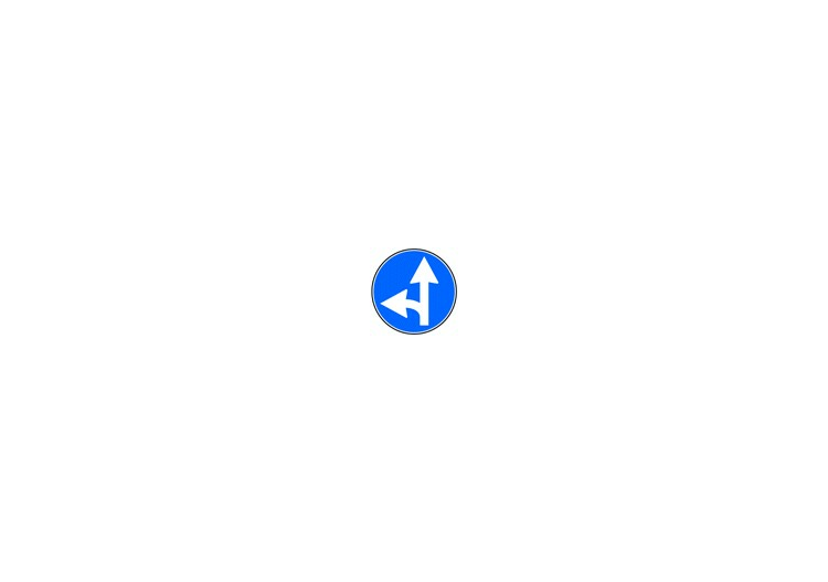 Signaux - Directions obligatoires tout droit ou à gauche -...