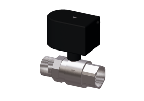 Motorisiertes 2-Wege-Ventil DN32 - 2138 - 213 0019