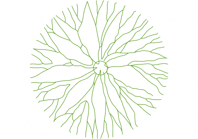 DWG Bäume - Baum (01) - ACCA software