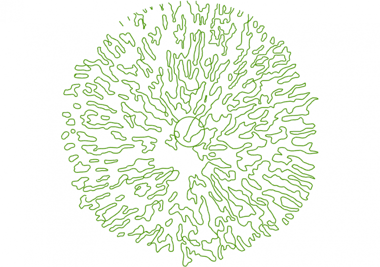 Árboles DWG - Árbol (02) - ACCA software