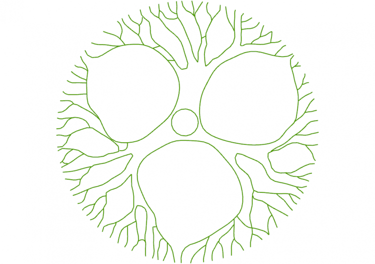 Árboles DWG - Árbol (03) - ACCA software
