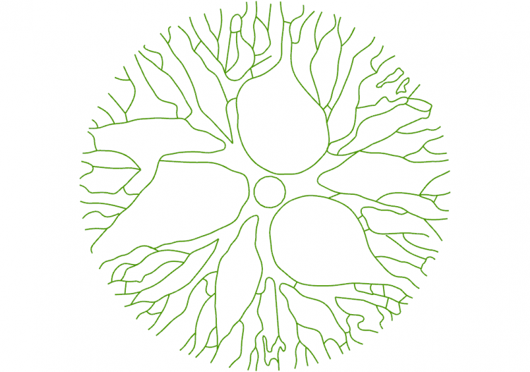 Arbres DWG - Arbre (05) - ACCA software