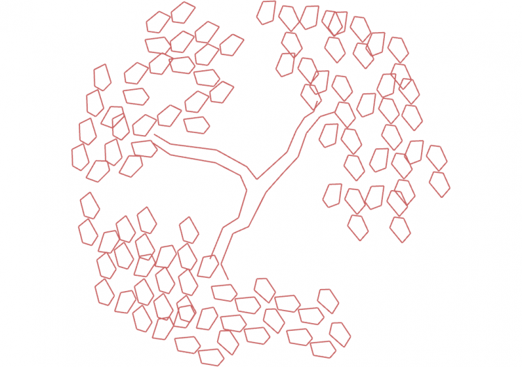 Alberi DWG - Albero (12) - ACCA software