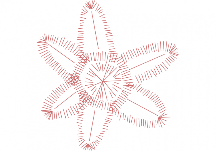 Alberi DWG - Albero (13) - ACCA software