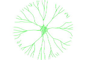 DWG Bäume - Baum (23)