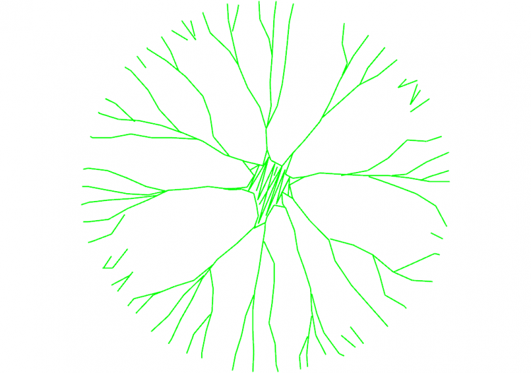 DWG Bäume - Baum (23) - ACCA software