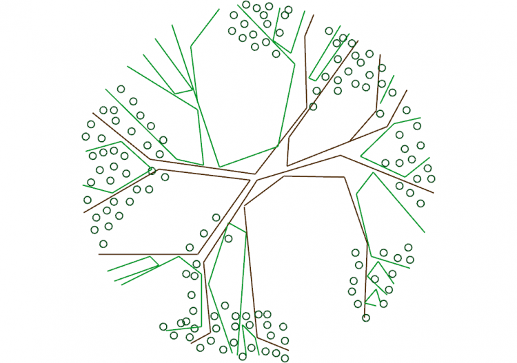 Arbres DWG - Arbre (27) - ACCA software