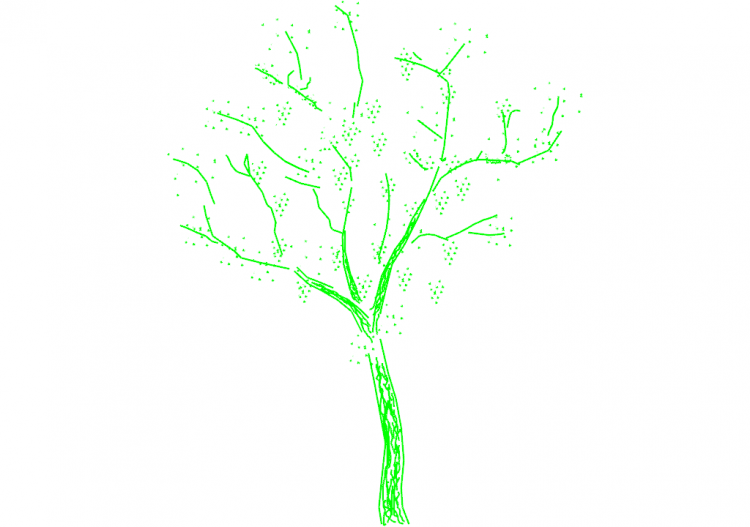 Arbres DWG - Arbre (01) - ACCA software