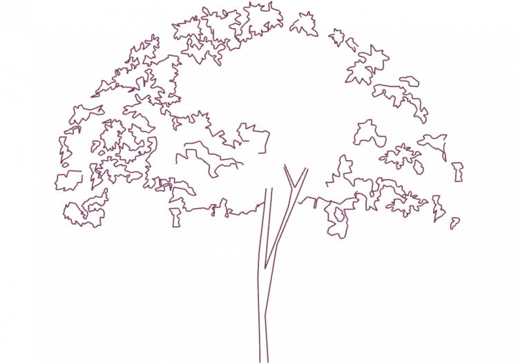 Alberi DWG - Albero (02) - ACCA software