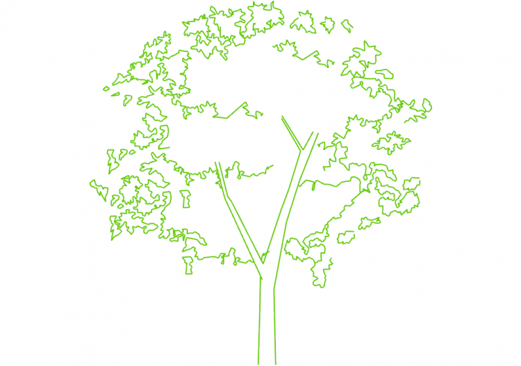 DWG Trees - Tree (03) - ACCA software