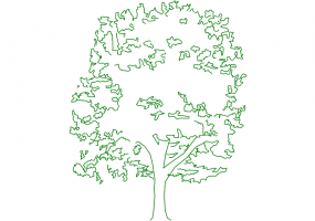 DWG Bäume - Baum (04)