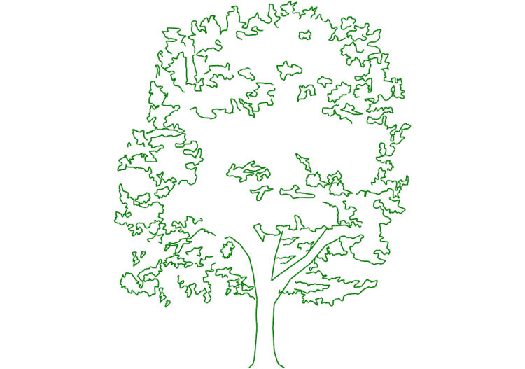 DWG Bäume - Baum (04) - ACCA software