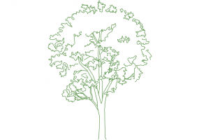 DWG Bäume - Baum (05)