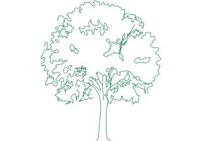 DWG Bäume - Baum (06)