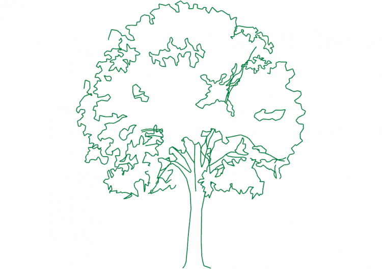 DWG Trees - Tree (06) - ACCA software