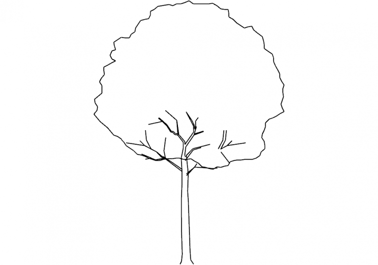 Arbres DWG - Arbre (07) - ACCA software