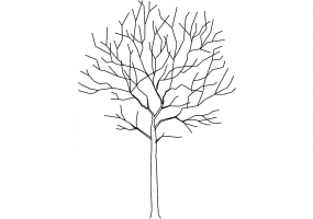 DWG Bäume - Baum (08)