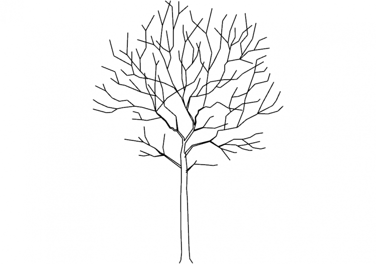 DWG Trees - Tree (08) - ACCA software