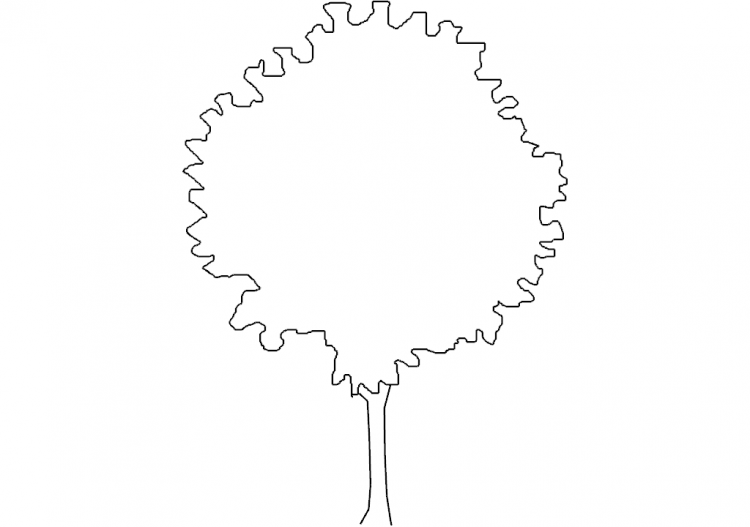 DWG Bäume - Baum (09) - ACCA software