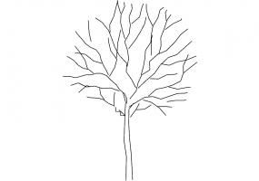 DWG Bäume - Baum (10)