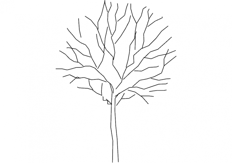 DWG Bäume - Baum (10) - ACCA software