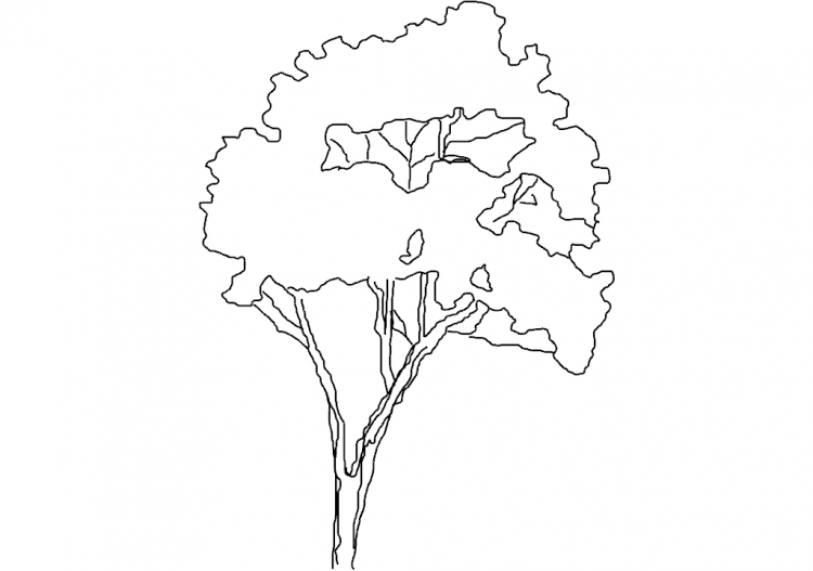 Árboles DWG - Árbol (11) - ACCA software