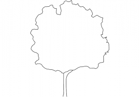 DWG Bäume - Baum (12)