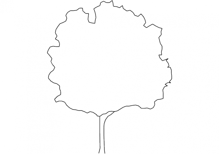DWG Bäume - Baum (12) - ACCA software