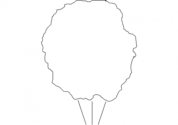 Alberi DWG - Albero (13) - ACCA software