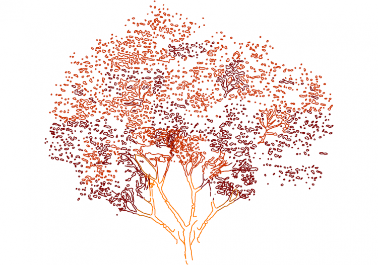 DWG Trees - Tree (15) - ACCA software