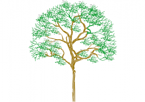 DWG Bäume - Baum (17)