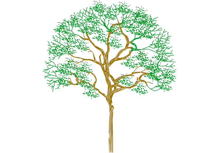 DWG Bäume - Baum (17) - ACCA software