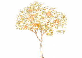 DWG Bäume - Baum (18)