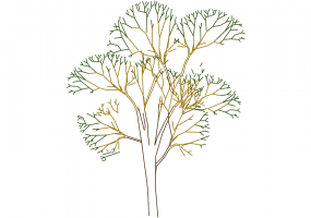 DWG Bäume - Baum (19)