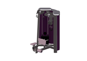 Fitness 3D - Cable Art N4 Biceps and Triceps - Gym80 - 5104